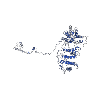 31669_7v2w_F_v1-1
protomer structure from the dimer of yeast THO complex