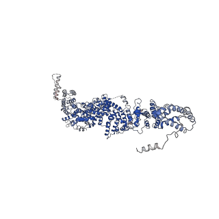 31669_7v2w_G_v1-1
protomer structure from the dimer of yeast THO complex