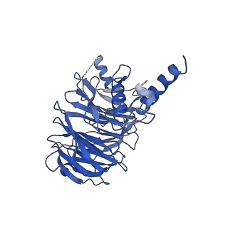 31669_7v2w_H_v1-1
protomer structure from the dimer of yeast THO complex