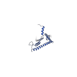 31669_7v2w_I_v1-1
protomer structure from the dimer of yeast THO complex