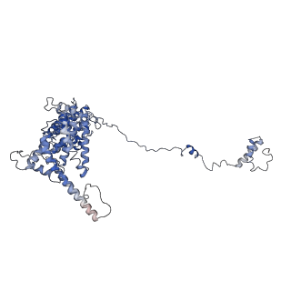31670_7v2y_A_v1-1
cryo-EM structure of yeast THO complex with Sub2