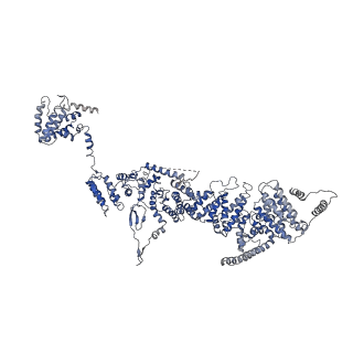 31670_7v2y_B_v1-1
cryo-EM structure of yeast THO complex with Sub2