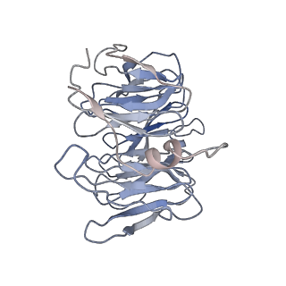 31670_7v2y_C_v1-1
cryo-EM structure of yeast THO complex with Sub2