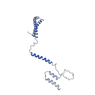 31670_7v2y_E_v1-1
cryo-EM structure of yeast THO complex with Sub2