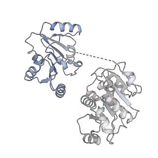 31670_7v2y_F_v1-1
cryo-EM structure of yeast THO complex with Sub2