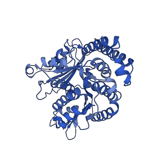 42915_8v2i_A_v1-0
Structure of alpha1B and betaI/IVb microtubule bound to GMPCPP