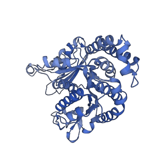 42915_8v2i_B_v1-0
Structure of alpha1B and betaI/IVb microtubule bound to GMPCPP