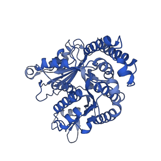 42915_8v2i_I_v1-0
Structure of alpha1B and betaI/IVb microtubule bound to GMPCPP
