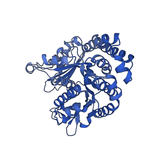 42915_8v2i_Q_v1-0
Structure of alpha1B and betaI/IVb microtubule bound to GMPCPP