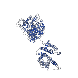 21028_6v35_B_v1-3
Cryo-EM structure of Ca2+-free hsSlo1-beta4 channel complex