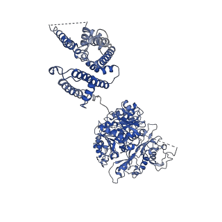 21028_6v35_D_v1-3
Cryo-EM structure of Ca2+-free hsSlo1-beta4 channel complex