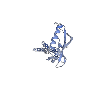 21028_6v35_E_v1-3
Cryo-EM structure of Ca2+-free hsSlo1-beta4 channel complex