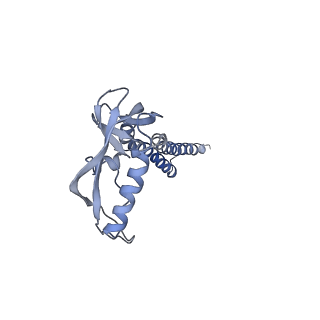 21028_6v35_G_v1-3
Cryo-EM structure of Ca2+-free hsSlo1-beta4 channel complex