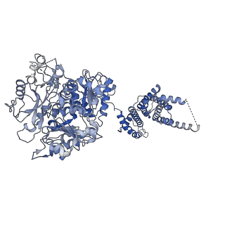 21029_6v38_B_v1-2
Cryo-EM structure of Ca2+-bound hsSlo1 channel