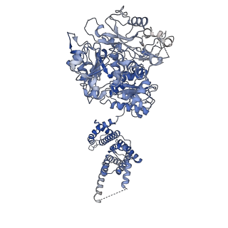 21029_6v38_C_v1-2
Cryo-EM structure of Ca2+-bound hsSlo1 channel