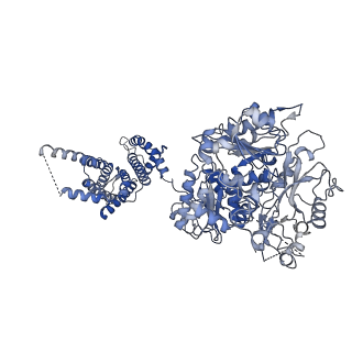 21029_6v38_D_v1-2
Cryo-EM structure of Ca2+-bound hsSlo1 channel