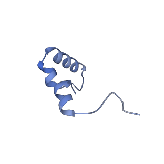 21030_6v39_1_v1-0
Cryo-EM structure of the Acinetobacter baumannii Ribosome: 70S with P-site tRNA