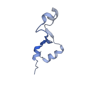 21030_6v39_2_v1-0
Cryo-EM structure of the Acinetobacter baumannii Ribosome: 70S with P-site tRNA