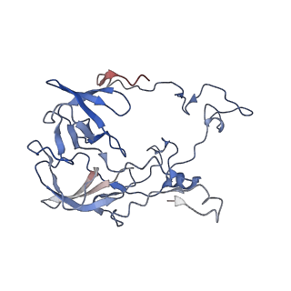 21030_6v39_C_v1-0
Cryo-EM structure of the Acinetobacter baumannii Ribosome: 70S with P-site tRNA