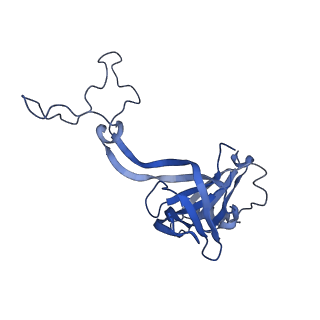 21030_6v39_D_v1-0
Cryo-EM structure of the Acinetobacter baumannii Ribosome: 70S with P-site tRNA
