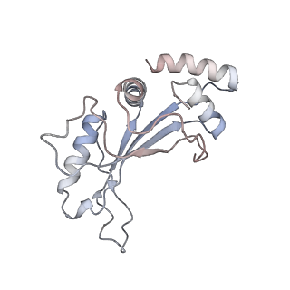 21030_6v39_F_v1-0
Cryo-EM structure of the Acinetobacter baumannii Ribosome: 70S with P-site tRNA
