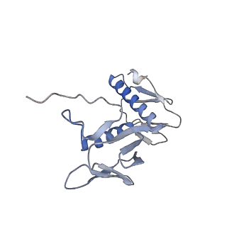 21030_6v39_G_v1-0
Cryo-EM structure of the Acinetobacter baumannii Ribosome: 70S with P-site tRNA