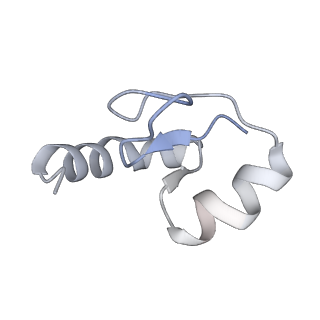 21030_6v39_H_v1-0
Cryo-EM structure of the Acinetobacter baumannii Ribosome: 70S with P-site tRNA