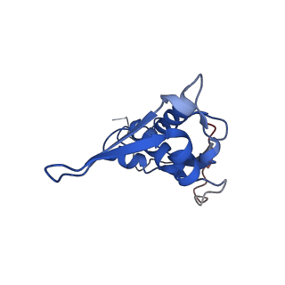 21030_6v39_I_v1-0
Cryo-EM structure of the Acinetobacter baumannii Ribosome: 70S with P-site tRNA