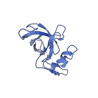 21030_6v39_J_v1-0
Cryo-EM structure of the Acinetobacter baumannii Ribosome: 70S with P-site tRNA