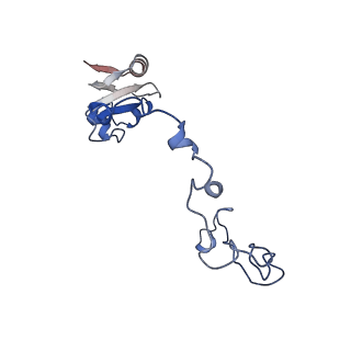 21030_6v39_K_v1-0
Cryo-EM structure of the Acinetobacter baumannii Ribosome: 70S with P-site tRNA