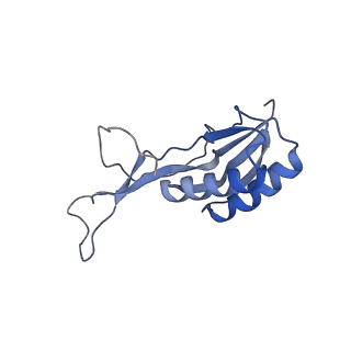 21030_6v39_L_v1-0
Cryo-EM structure of the Acinetobacter baumannii Ribosome: 70S with P-site tRNA