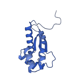 21030_6v39_M_v1-0
Cryo-EM structure of the Acinetobacter baumannii Ribosome: 70S with P-site tRNA