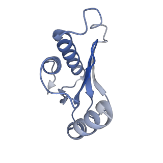 21030_6v39_N_v1-0
Cryo-EM structure of the Acinetobacter baumannii Ribosome: 70S with P-site tRNA