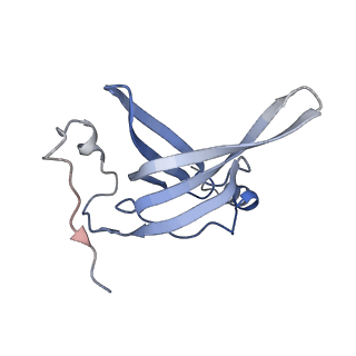 21030_6v39_O_v1-0
Cryo-EM structure of the Acinetobacter baumannii Ribosome: 70S with P-site tRNA