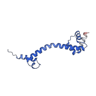 21030_6v39_P_v1-0
Cryo-EM structure of the Acinetobacter baumannii Ribosome: 70S with P-site tRNA