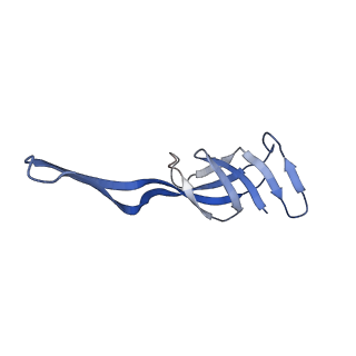 21030_6v39_Q_v1-0
Cryo-EM structure of the Acinetobacter baumannii Ribosome: 70S with P-site tRNA
