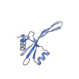 21030_6v39_S_v1-0
Cryo-EM structure of the Acinetobacter baumannii Ribosome: 70S with P-site tRNA
