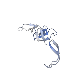 21030_6v39_T_v1-0
Cryo-EM structure of the Acinetobacter baumannii Ribosome: 70S with P-site tRNA