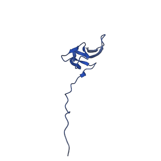 21030_6v39_V_v1-0
Cryo-EM structure of the Acinetobacter baumannii Ribosome: 70S with P-site tRNA