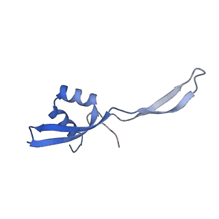 21030_6v39_W_v1-0
Cryo-EM structure of the Acinetobacter baumannii Ribosome: 70S with P-site tRNA