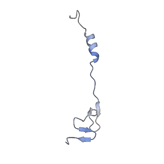 21030_6v39_Z_v1-0
Cryo-EM structure of the Acinetobacter baumannii Ribosome: 70S with P-site tRNA