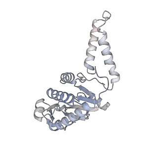 21030_6v39_b_v1-0
Cryo-EM structure of the Acinetobacter baumannii Ribosome: 70S with P-site tRNA