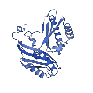 21030_6v39_c_v1-0
Cryo-EM structure of the Acinetobacter baumannii Ribosome: 70S with P-site tRNA