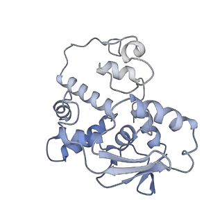 21030_6v39_d_v1-0
Cryo-EM structure of the Acinetobacter baumannii Ribosome: 70S with P-site tRNA