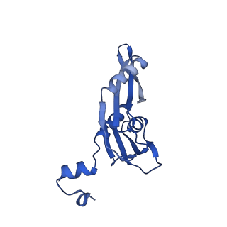 21030_6v39_e_v1-0
Cryo-EM structure of the Acinetobacter baumannii Ribosome: 70S with P-site tRNA
