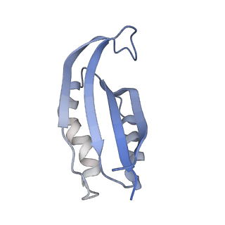 21030_6v39_f_v1-0
Cryo-EM structure of the Acinetobacter baumannii Ribosome: 70S with P-site tRNA