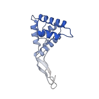 21030_6v39_g_v1-0
Cryo-EM structure of the Acinetobacter baumannii Ribosome: 70S with P-site tRNA