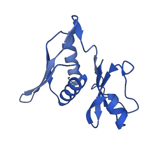 21030_6v39_h_v1-0
Cryo-EM structure of the Acinetobacter baumannii Ribosome: 70S with P-site tRNA