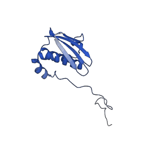 21030_6v39_i_v1-0
Cryo-EM structure of the Acinetobacter baumannii Ribosome: 70S with P-site tRNA