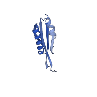 21030_6v39_j_v1-0
Cryo-EM structure of the Acinetobacter baumannii Ribosome: 70S with P-site tRNA